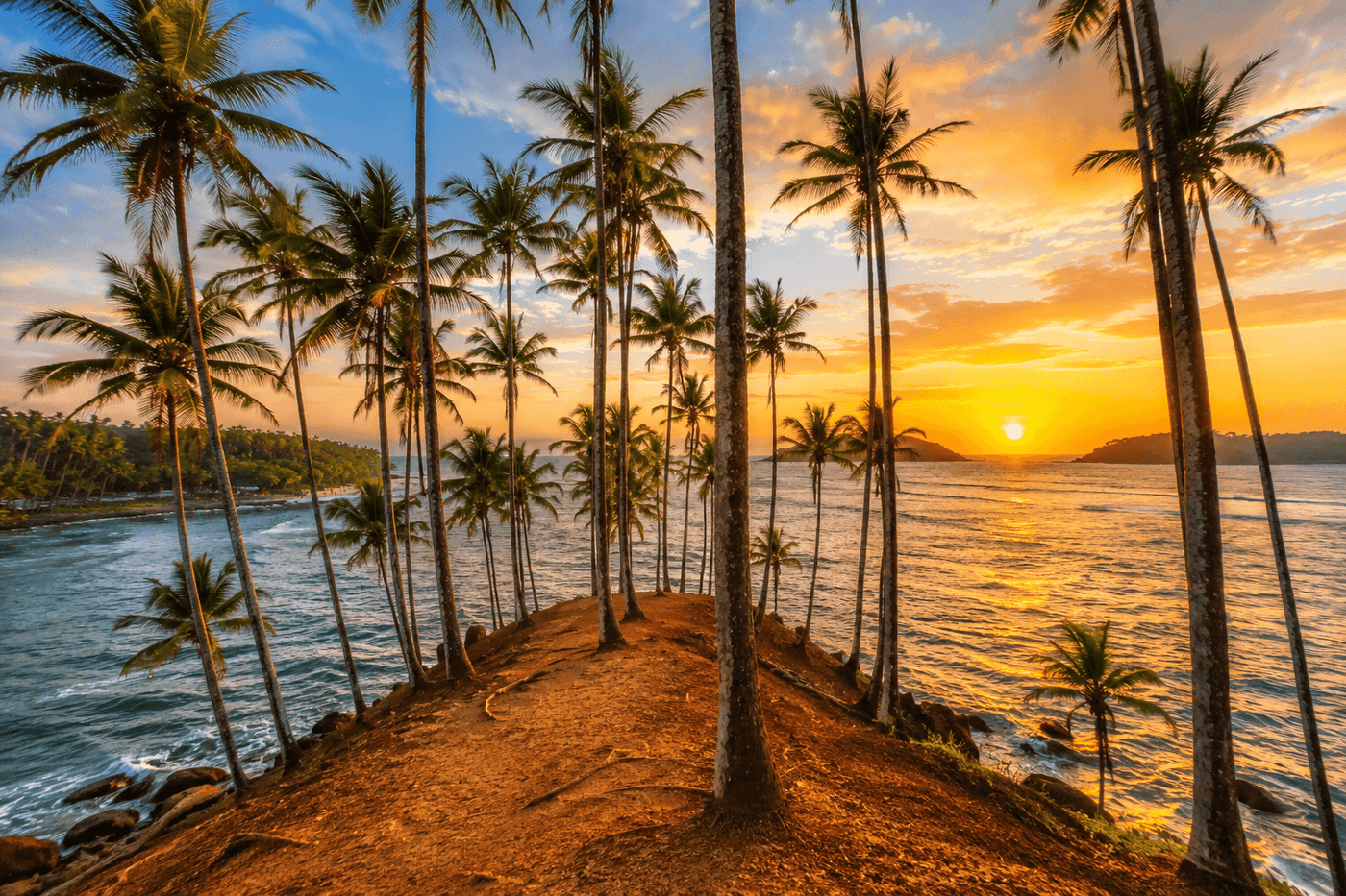 Tropical Sri Lanka Coastline Boat Trip