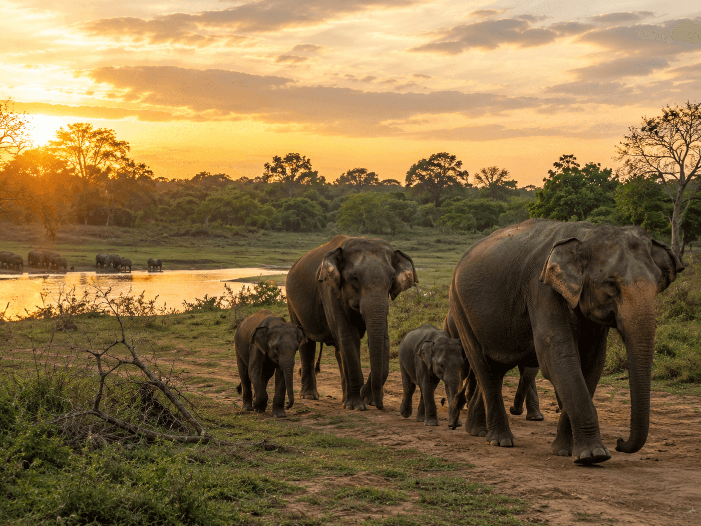 Udawalawe Sanctuary